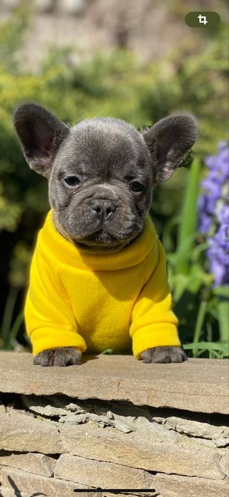 Мальчикв голубом окрасе