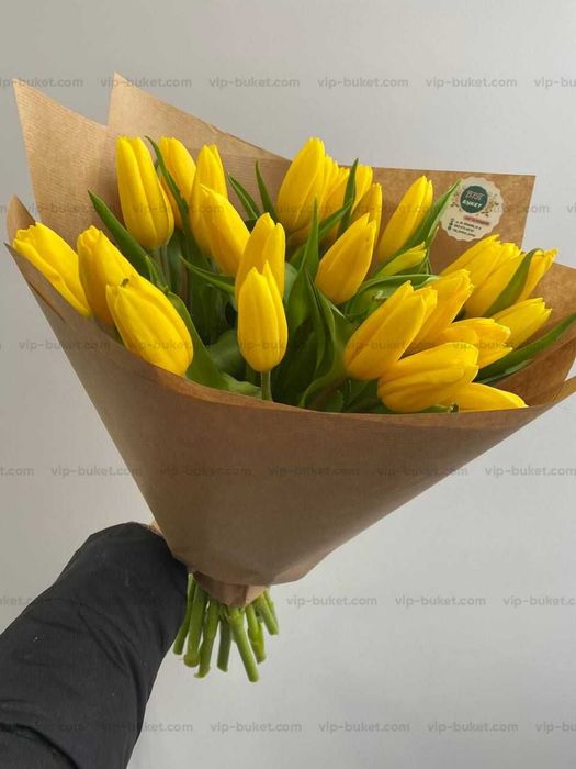 Тюльпани САМАР опт, роздріб, доставка