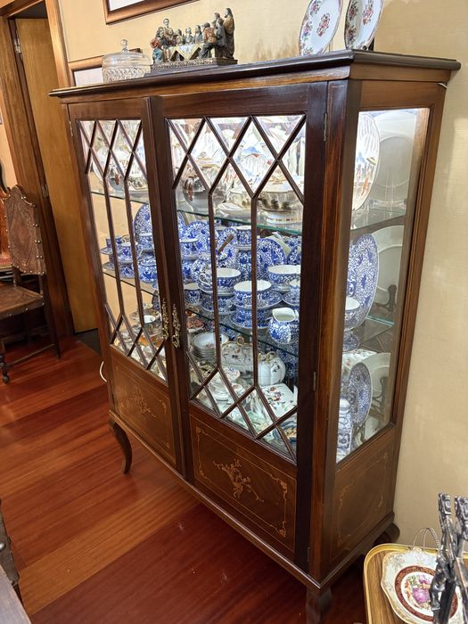 Vitrine Expositor Eletrificada