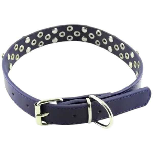 Новий ошийник для собак