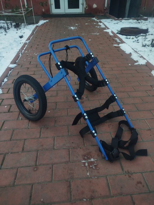 Инвалидная коляска для овчарки инвалидная коляска для собак