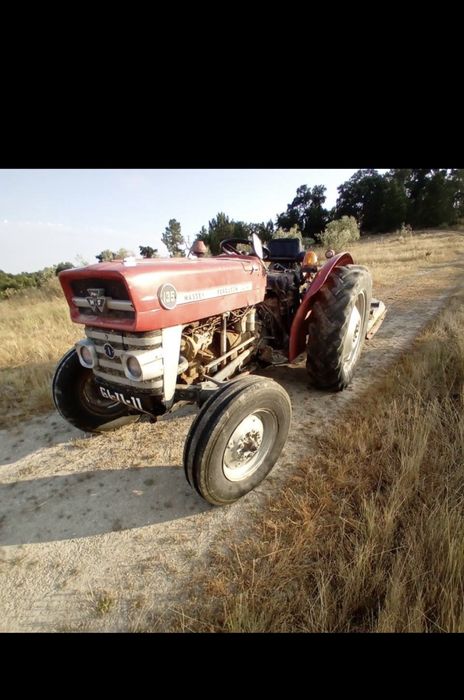 Massey ferguson 135