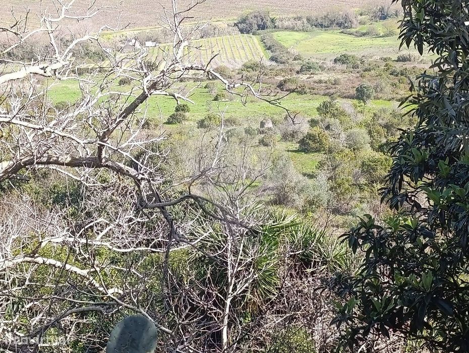 Terreno  para venda