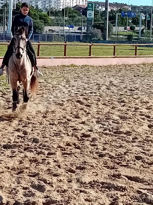 cavalo baio com 8 anos muito manso montada engatada 1 58
