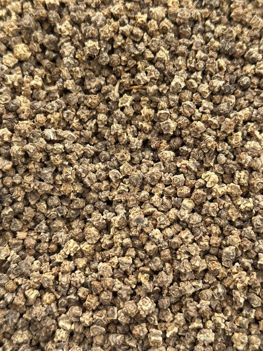 Семена кормовой свеклы центауэр