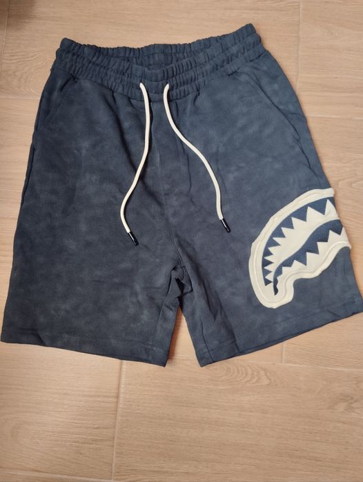 Шорти Sprayground