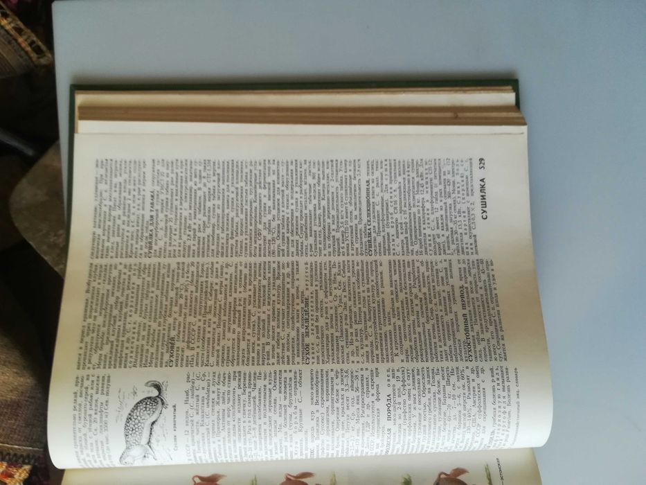 Сельскохозяйственный энциклопеический словарь