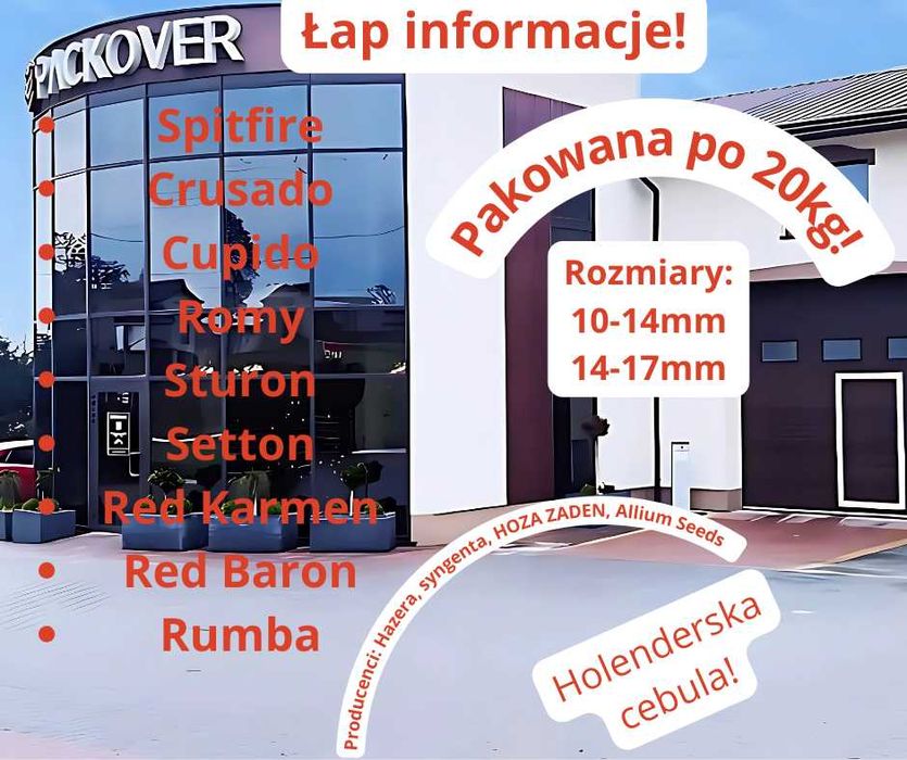 Zapisy na cebulę dymkę z Holandii