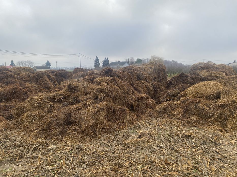 obornik koński z dowozem