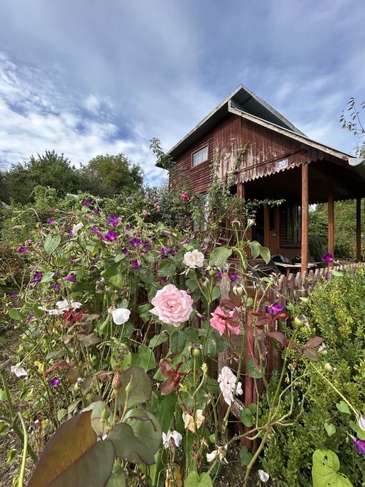 ROD "KOLEJARZ" - 3 ary z podpiwniczonym domkiem