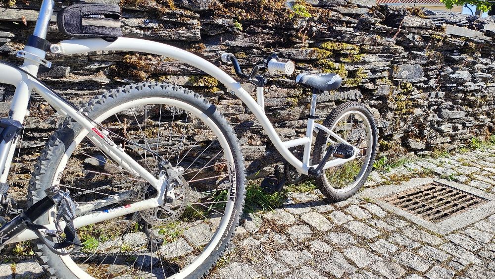 Bike para curtir a grande com o filhote !