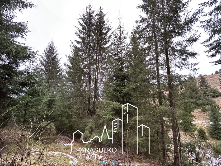 Продам земельну мальовничу ділянку в Карпатах