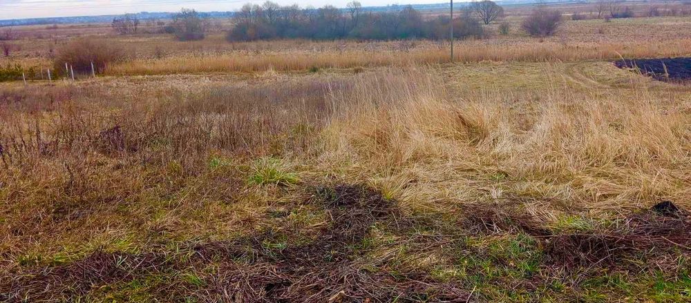 Продаж земельної ділянки. с. Відники. вул. І. Франка 17 км. до Львова