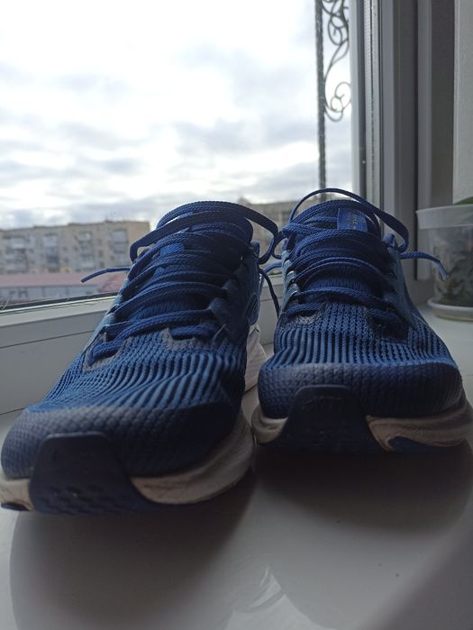 Кросовки nike Pegasus