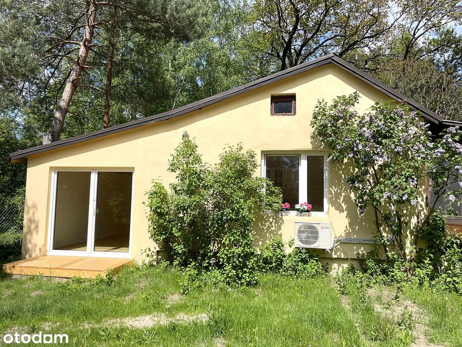 Dom, który daje ukojenie - na skraju lasu, w sercu ciszy