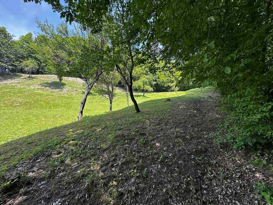 Продається старий будинок з великою земельною ділянкою