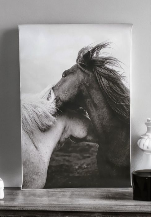 Obrazek na płótnie HD / Portrait– Horses Black & White (40x60)