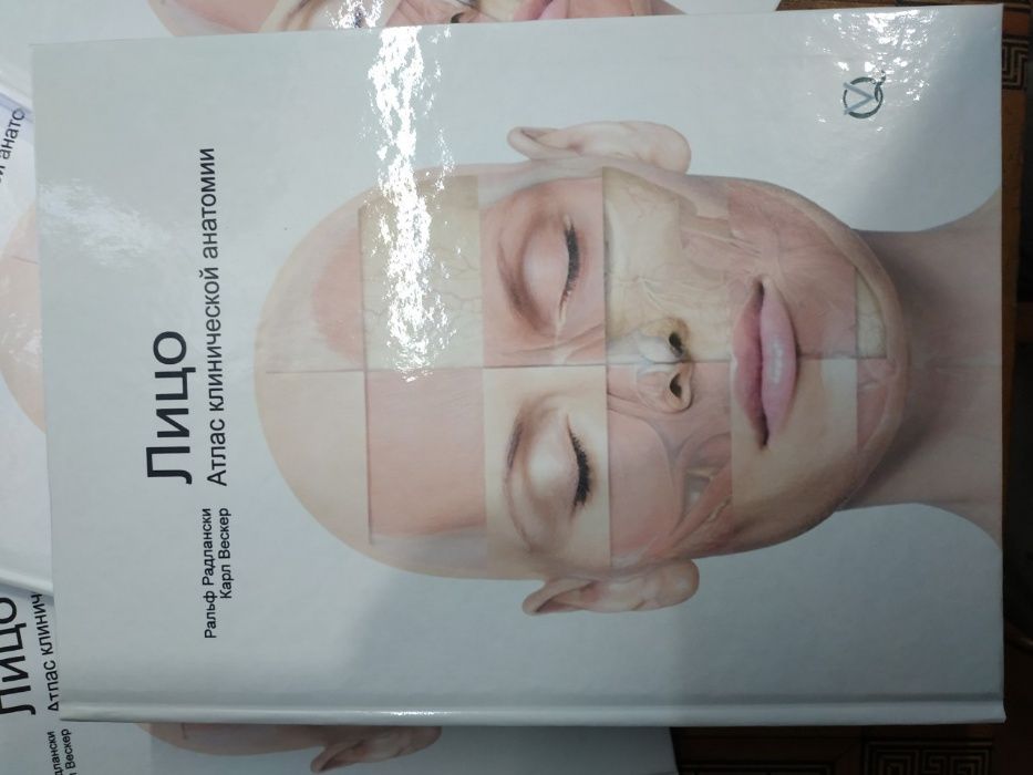 Лицо атлас клинической анатомии