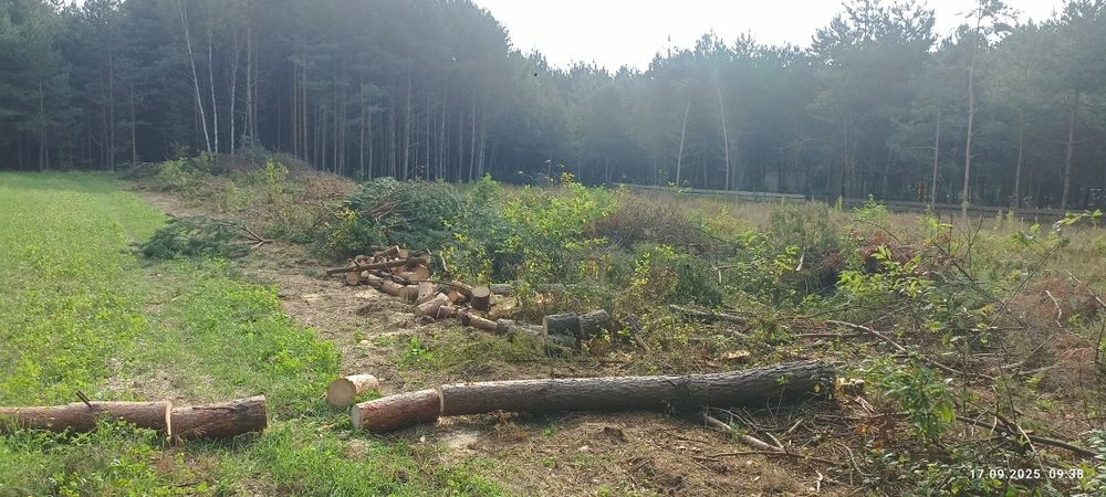 Usługa koparką 15 ton , cat 313 D 23 lata doświadczenia