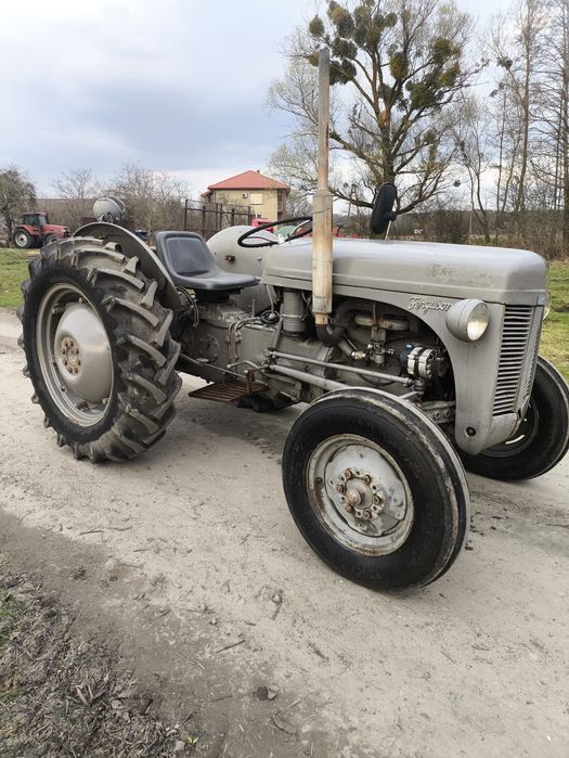 Ciągnik Ferguson te-a traktor tea 20 tea20 Massey Ted tef ursus c-330