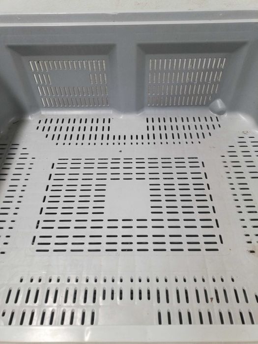 Palotes em muito bom estado