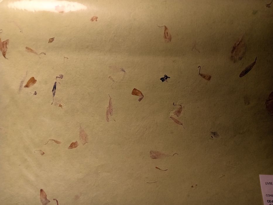 Artes Decorativas / folhas papel 56x76cm