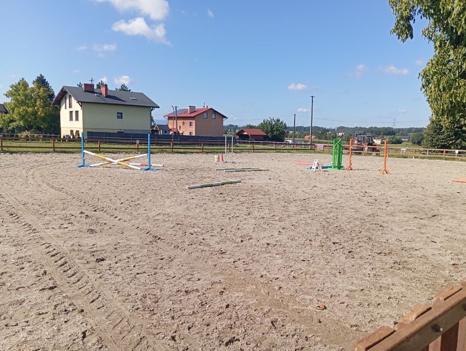 Wolny boks, pensjonat dla konia Pruchna