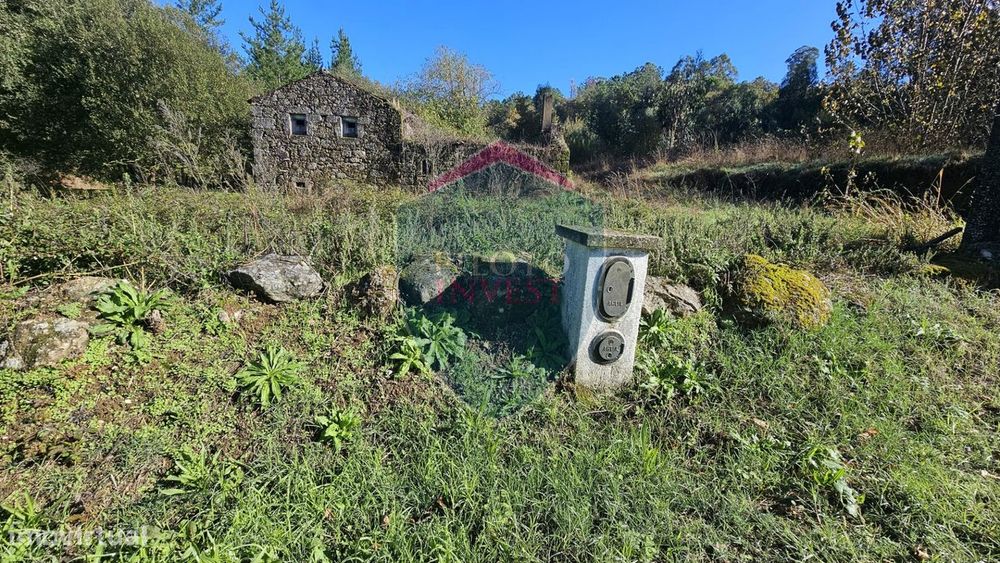 Terreno  Venda em São Cipriano e Vil de Souto,Viseu