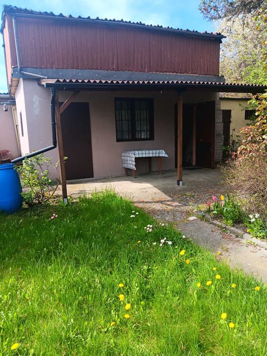 ogródek działkowy