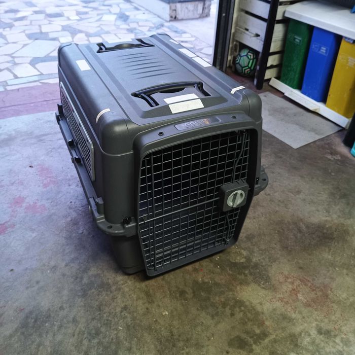 Transportadora animais