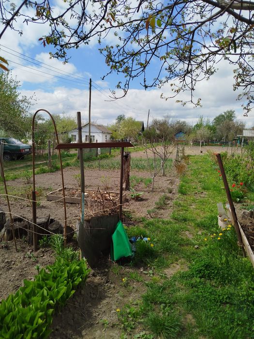 Продам садову ділянку