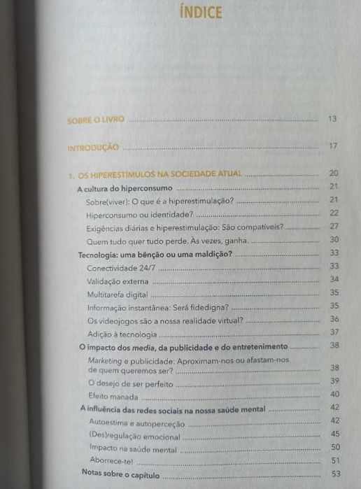 Estou Sempre a Mil; Uma cabeça que nunca se desliga ou PHDA? - Rita Gama Ferreira