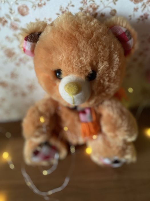 Мʼяка іграшка ведмедик