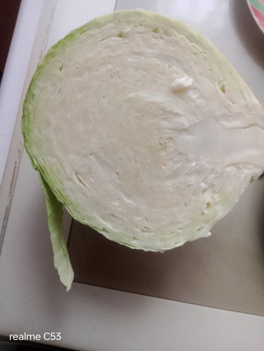 Продам капусту Центуріон.агресор.. С.Чаплинка