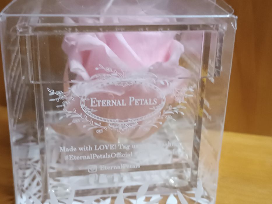 Вічна троянда Eternal Petals/Англія