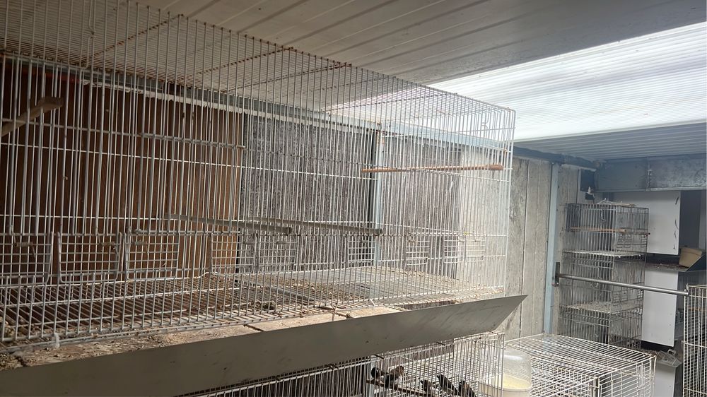 Gaiolas para aves