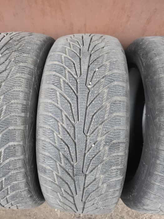 Зимові шини Petlas Glacier W661 215/55 r17