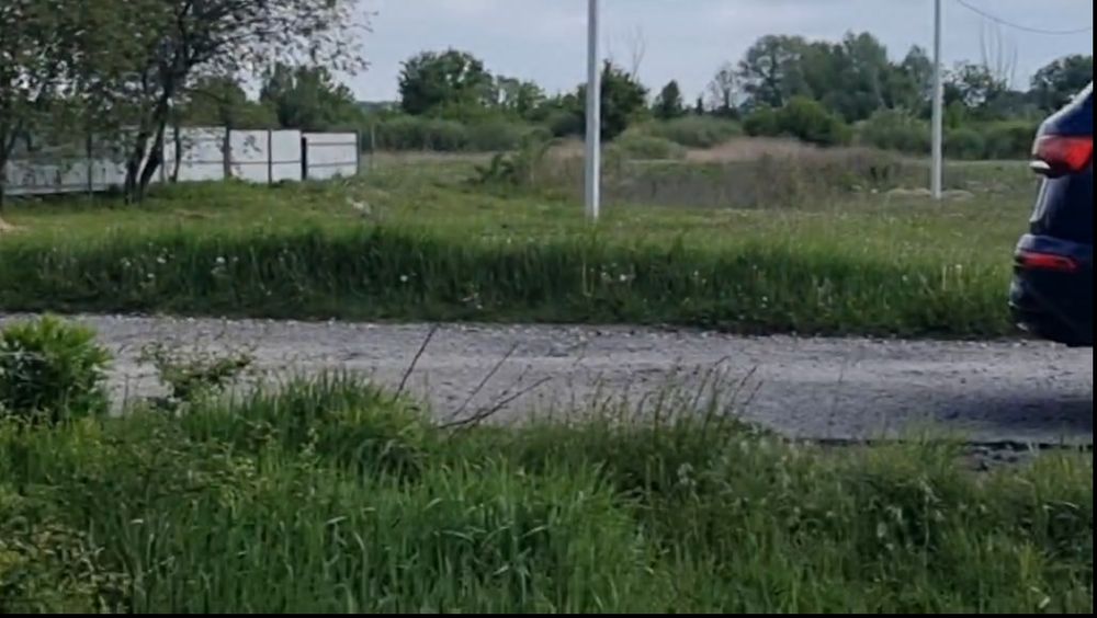 Продам 10 ГА в Жердова, Броварський рн