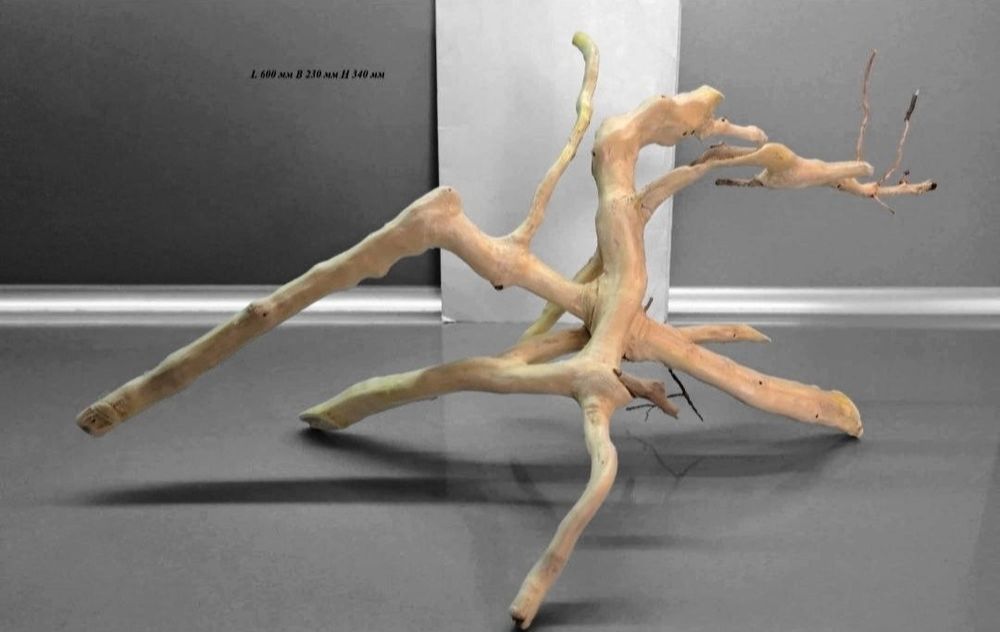 Коряга в Аквариум/террариум с дерева  КЛЕН