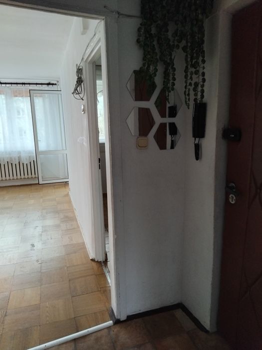 Mieszkanie do wynajęcia