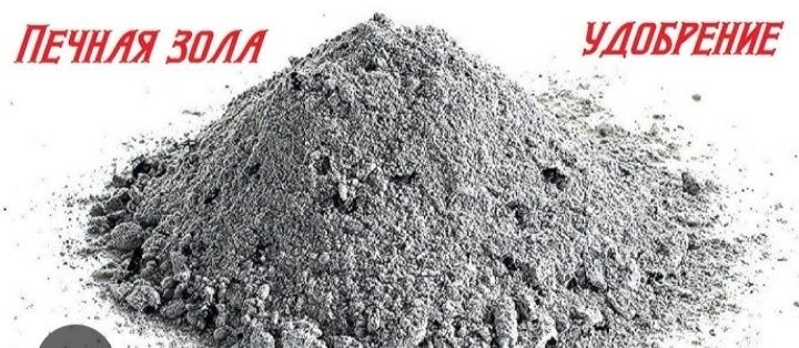 Пепел,зола на дровах