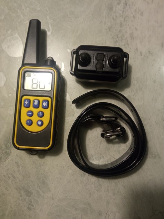 Електронний ошейник для собак