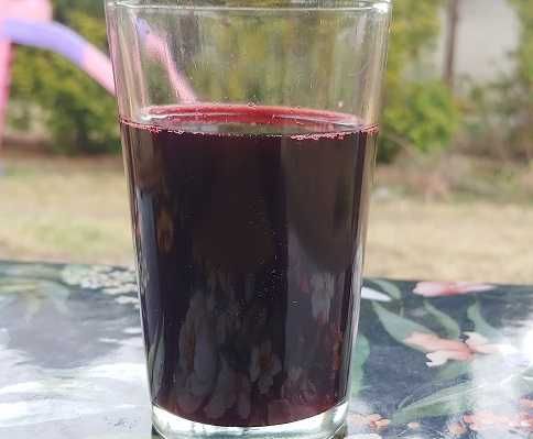 Sok z wiśni (wiśniowy) 100% 3l NFC  2025