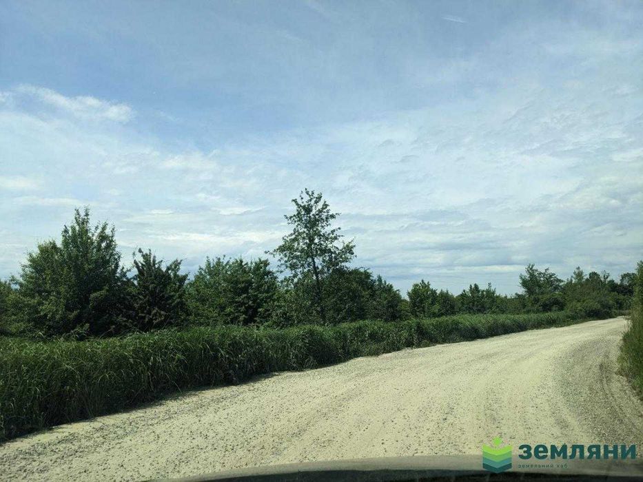 Продаж землі 1 га біля траси Тисмениця-Хом'яківка (5)