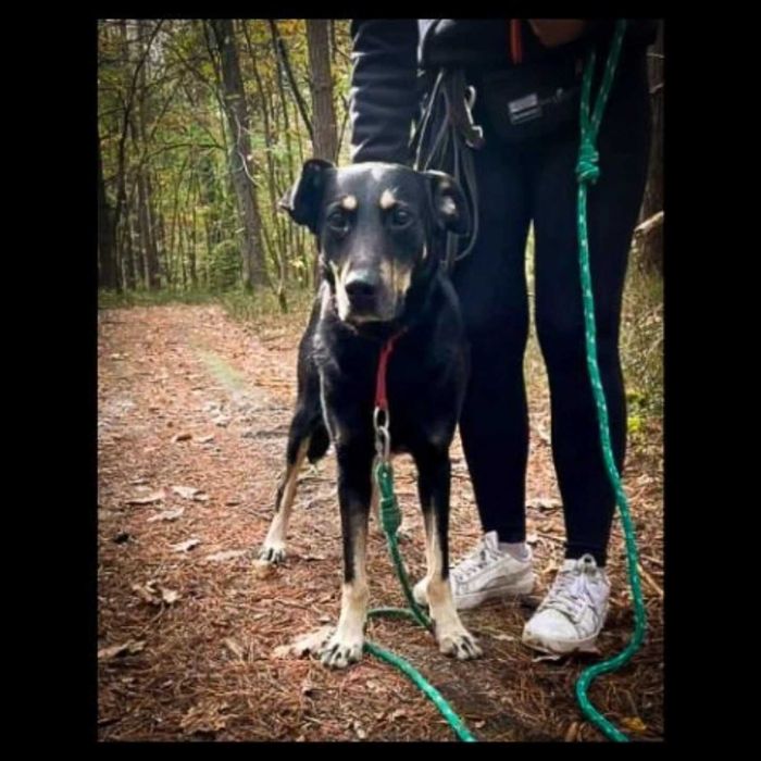 Darin - przyjaciel na dobre i na złe