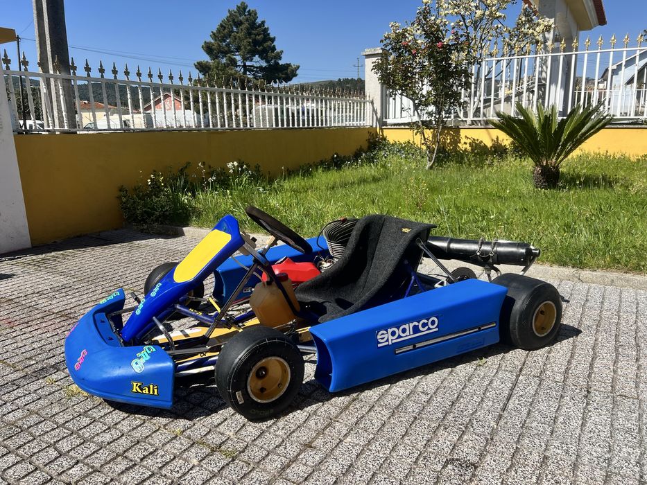 Karting competição IAME 100cc