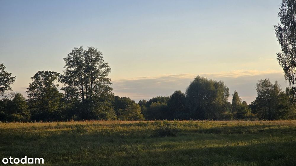 Doskonała propozycja dla Inwestorów