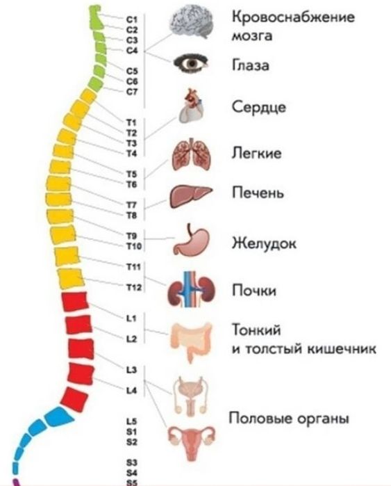 Масаж Полтава. Маю медичну освіту.