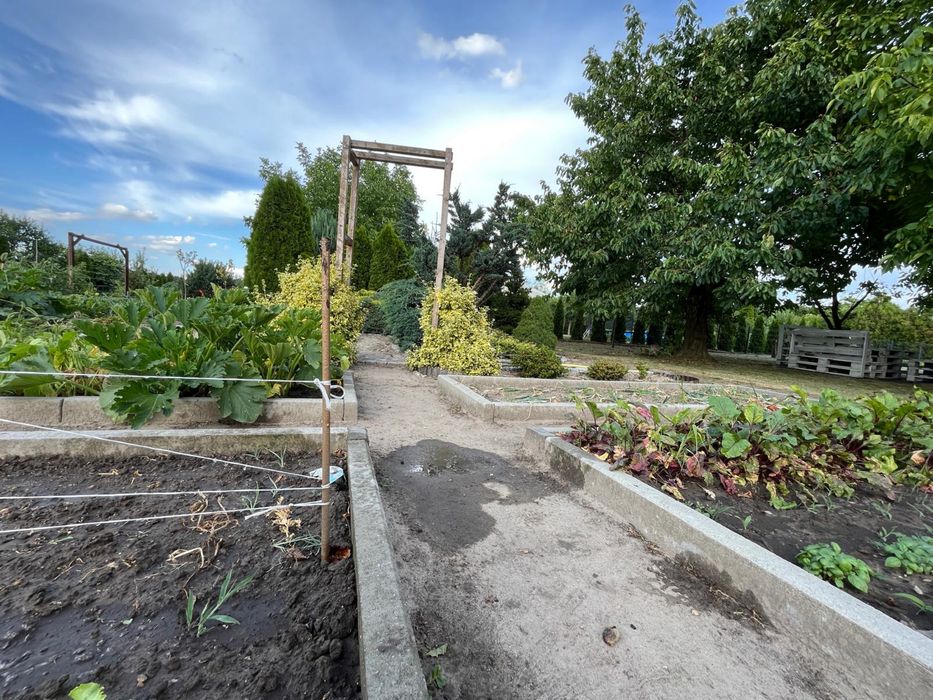 Działka rekreacyjna