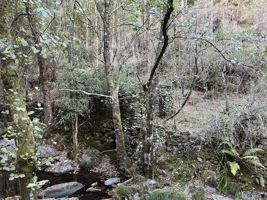 Quinta com 5hec - Serra da Lousã